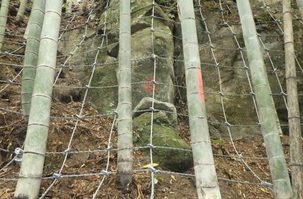 平成30年度　予防治山事業　戸高野地区