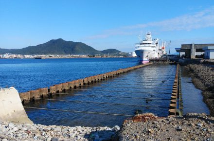 枕崎漁港 水産流通基盤 （特定） 整備工事
